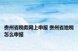 贵州省税务网上申报 贵州省地税怎么申报