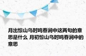 月出惊山鸟时鸣春涧中这两句的意思是什么 月初惊山鸟时鸣春涧中的意思