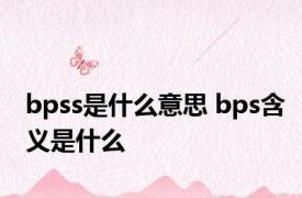 bpss是什么意思 bps含义是什么