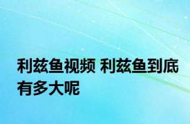 利兹鱼视频 利兹鱼到底有多大呢