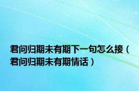 君问归期未有期下一句怎么接（君问归期未有期情话）