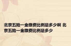 北京五险一金缴费比例是多少啊 北京五险一金缴费比例是多少