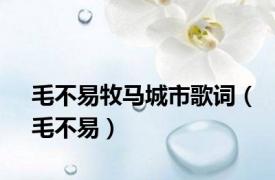 毛不易牧马城市歌词（毛不易）