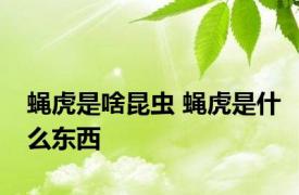 蝇虎是啥昆虫 蝇虎是什么东西