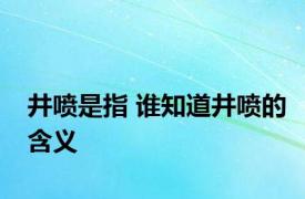 井喷是指 谁知道井喷的含义