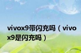 vivox9带闪充吗（vivox9是闪充吗）