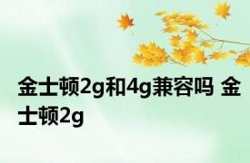 金士顿2g和4g兼容吗 金士顿2g 