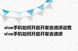 vivo手机如何开启开发者选项设置 vivo手机如何开启开发者选项