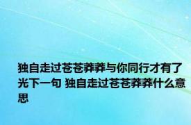 独自走过苍苍莽莽与你同行才有了光下一句 独自走过苍苍莽莽什么意思