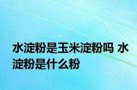 水淀粉是玉米淀粉吗 水淀粉是什么粉