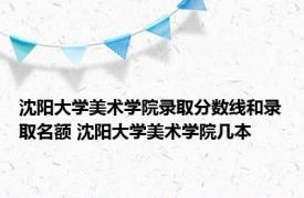 沈阳大学美术学院录取分数线和录取名额 沈阳大学美术学院几本