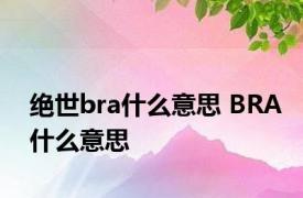 绝世bra什么意思 BRA什么意思