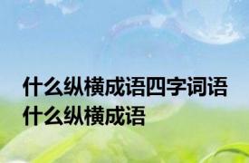 什么纵横成语四字词语 什么纵横成语