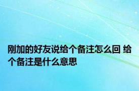 刚加的好友说给个备注怎么回 给个备注是什么意思