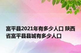 富平县2021年有多少人口 陕西省富平县县城有多少人口