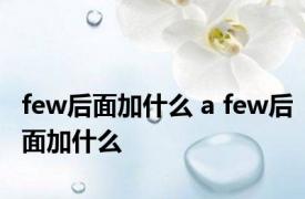 few后面加什么 a few后面加什么