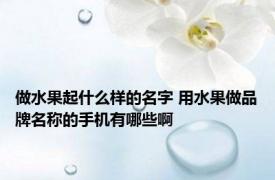 做水果起什么样的名字 用水果做品牌名称的手机有哪些啊