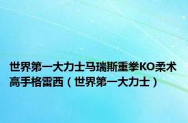 世界第一大力士马瑞斯重拳KO柔术高手格雷西（世界第一大力士）