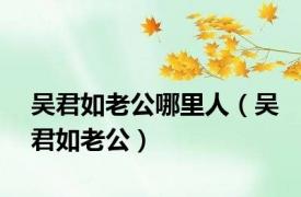 吴君如老公哪里人（吴君如老公）