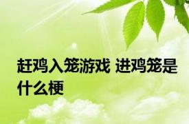 赶鸡入笼游戏 进鸡笼是什么梗