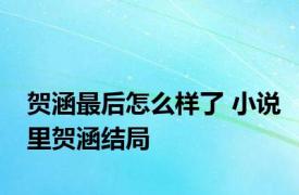 贺涵最后怎么样了 小说里贺涵结局