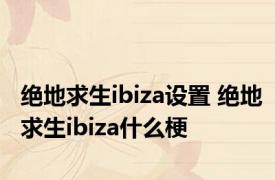 绝地求生ibiza设置 绝地求生ibiza什么梗