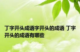 丁字开头成语字开头的成语 丁字开头的成语有哪些