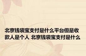 北京钱袋宝支付是什么平台但是收款人是个人 北京钱袋宝支付是什么