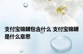 支付宝锦鲤包含什么 支付宝锦鲤是什么意思