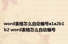 word表格怎么自动编号a1a2b1b2 word表格怎么自动编号