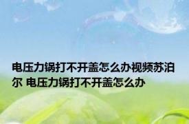 电压力锅打不开盖怎么办视频苏泊尔 电压力锅打不开盖怎么办