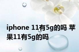 iphone 11有5g的吗 苹果11有5g的吗