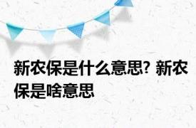 新农保是什么意思? 新农保是啥意思