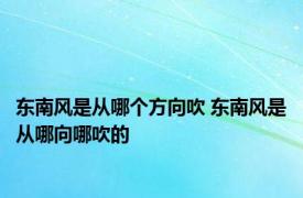 东南风是从哪个方向吹 东南风是从哪向哪吹的