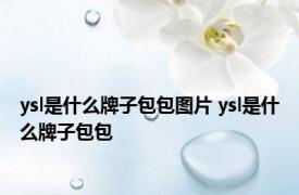 ysl是什么牌子包包图片 ysl是什么牌子包包