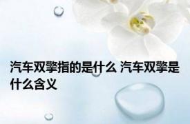 汽车双擎指的是什么 汽车双擎是什么含义