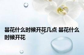 昙花什么时候开花几点 昙花什么时候开花