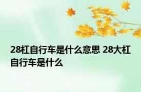 28杠自行车是什么意思 28大杠自行车是什么