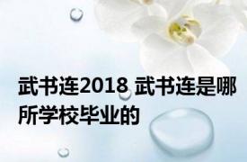 武书连2018 武书连是哪所学校毕业的