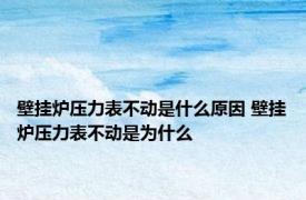 壁挂炉压力表不动是什么原因 壁挂炉压力表不动是为什么