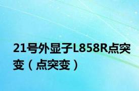 21号外显子L858R点突变（点突变）