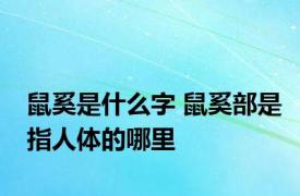 鼠奚是什么字 鼠奚部是指人体的哪里