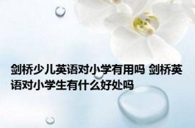 剑桥少儿英语对小学有用吗 剑桥英语对小学生有什么好处吗