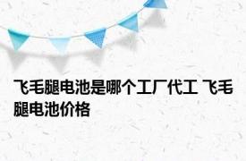 飞毛腿电池是哪个工厂代工 飞毛腿电池价格 