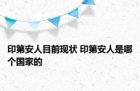 印第安人目前现状 印第安人是哪个国家的