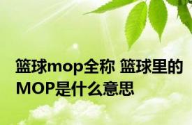 篮球mop全称 篮球里的MOP是什么意思