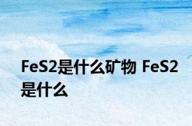 FeS2是什么矿物 FeS2是什么