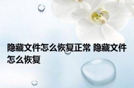 隐藏文件怎么恢复正常 隐藏文件怎么恢复