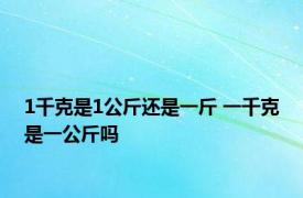 1千克是1公斤还是一斤 一千克是一公斤吗