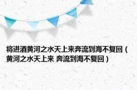 将进酒黄河之水天上来奔流到海不复回（黄河之水天上来 奔流到海不复回）